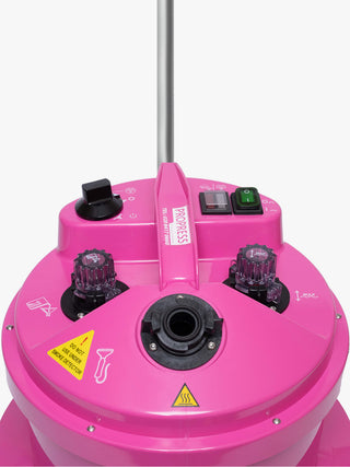PRO580 Professional Steamer