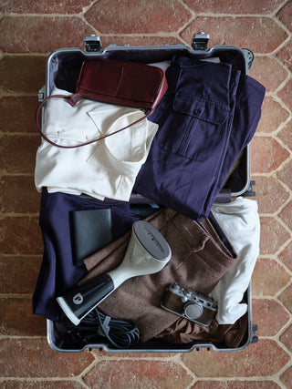 MINI Clothes Steamer