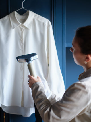PRO290 Professional Steamer