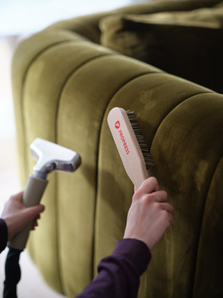 PRO580 Professional Steamer