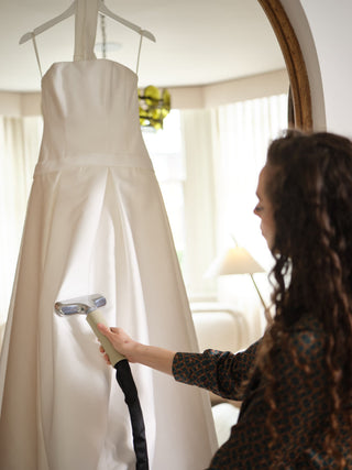 PRO290 Professional Steamer
